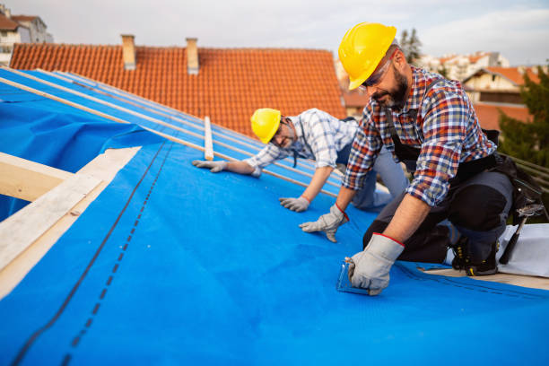 Roof Gutter Cleaning in Cascades, VA